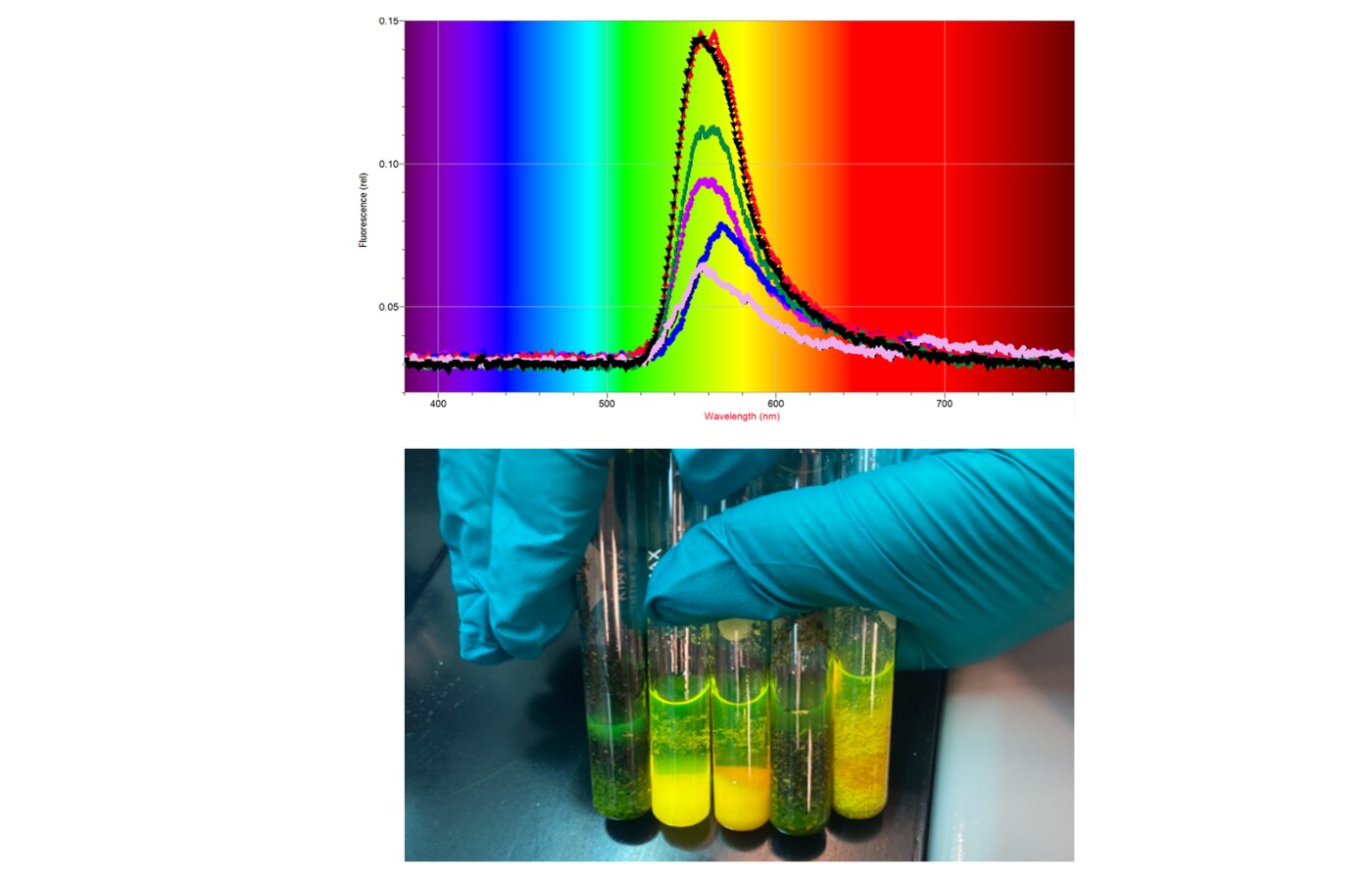 A color coded wavelength and fluorescence chart and a generic photo of four glass vials held by a gloved hand, two samples glowing bright yellow and green