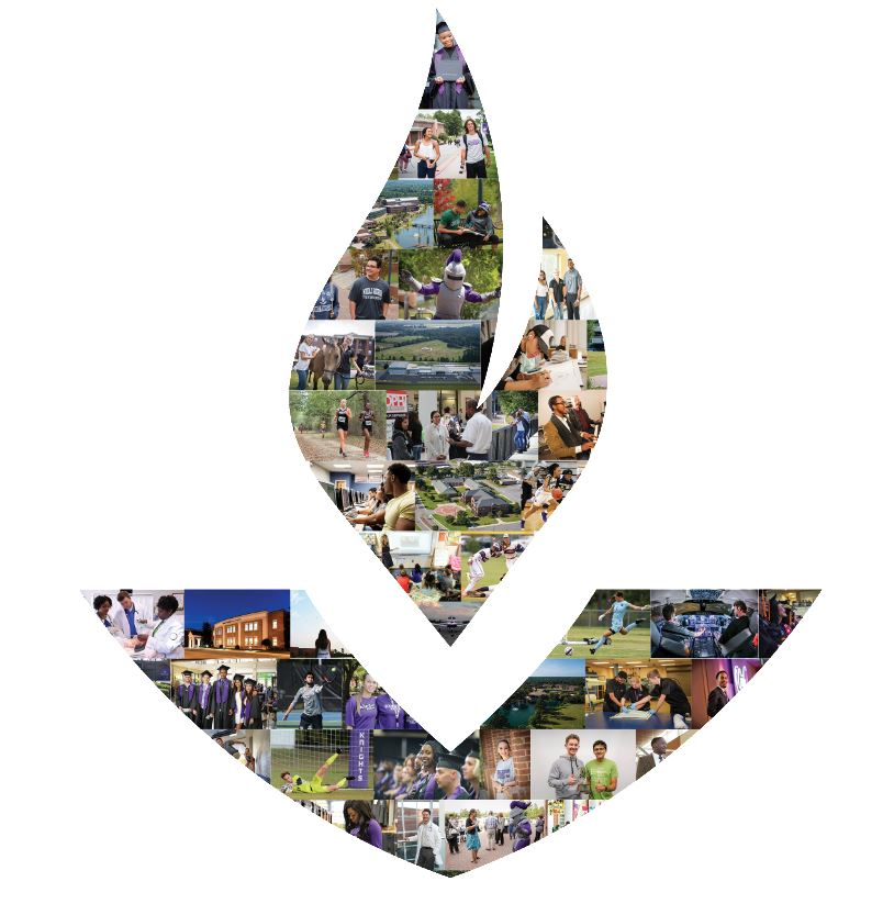 Collage of students